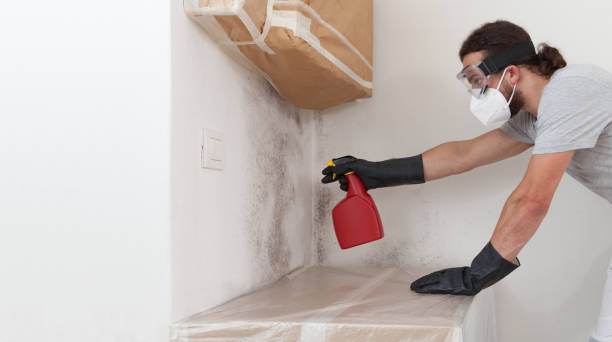 Professional Attic Mold Remediation technician working in Belmont, PA