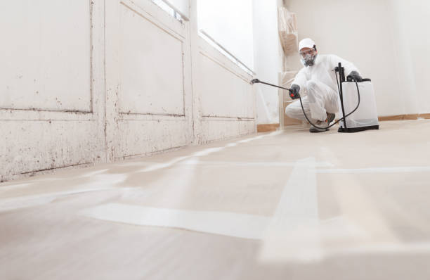 24/7 Emergency Attic Mold Remediation experts in Belmont, PA